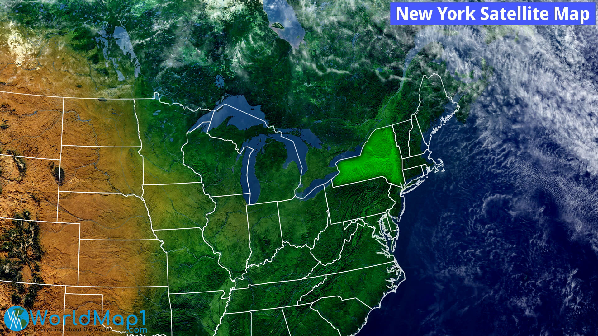 New York Satellite Map